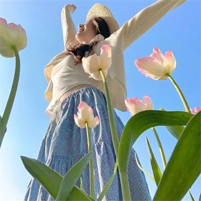 内阁作战室:反叛第三季