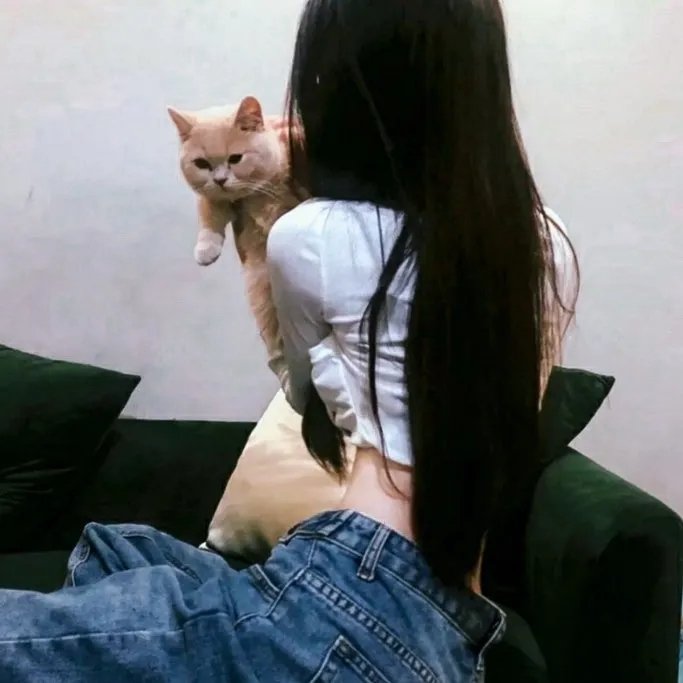罗马夜禁色